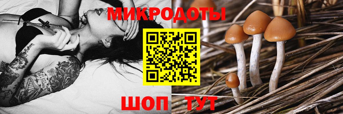 Калач-на-Дону  Галлюциногенные грибы Cubensis  Галлюциногенные грибы Psilocybine cubensis  Вход с VPN 