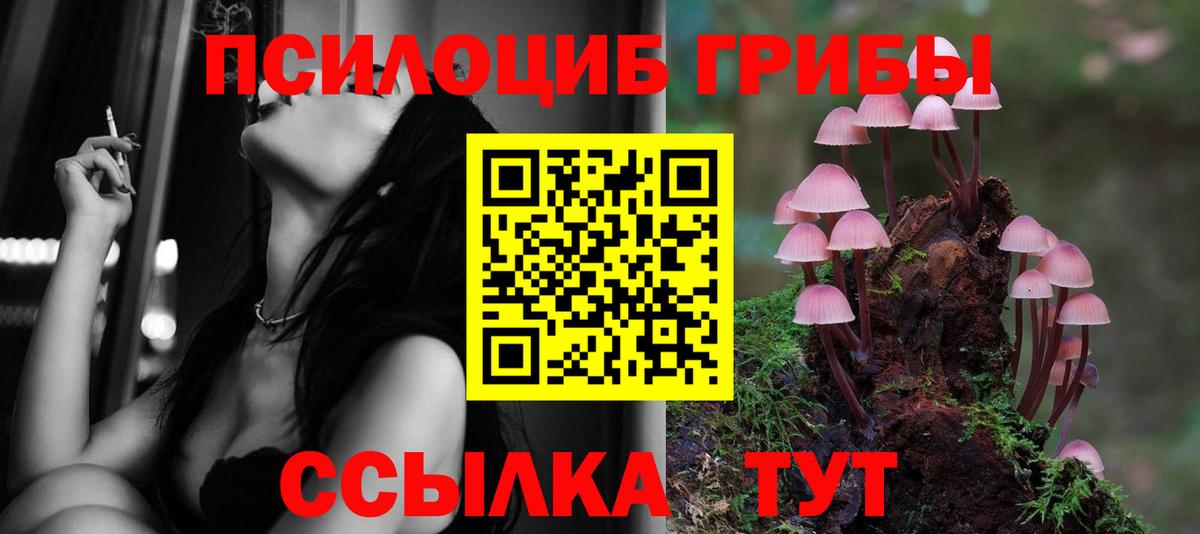 Галлюциногенные грибы мицелий Калач-на-Дону